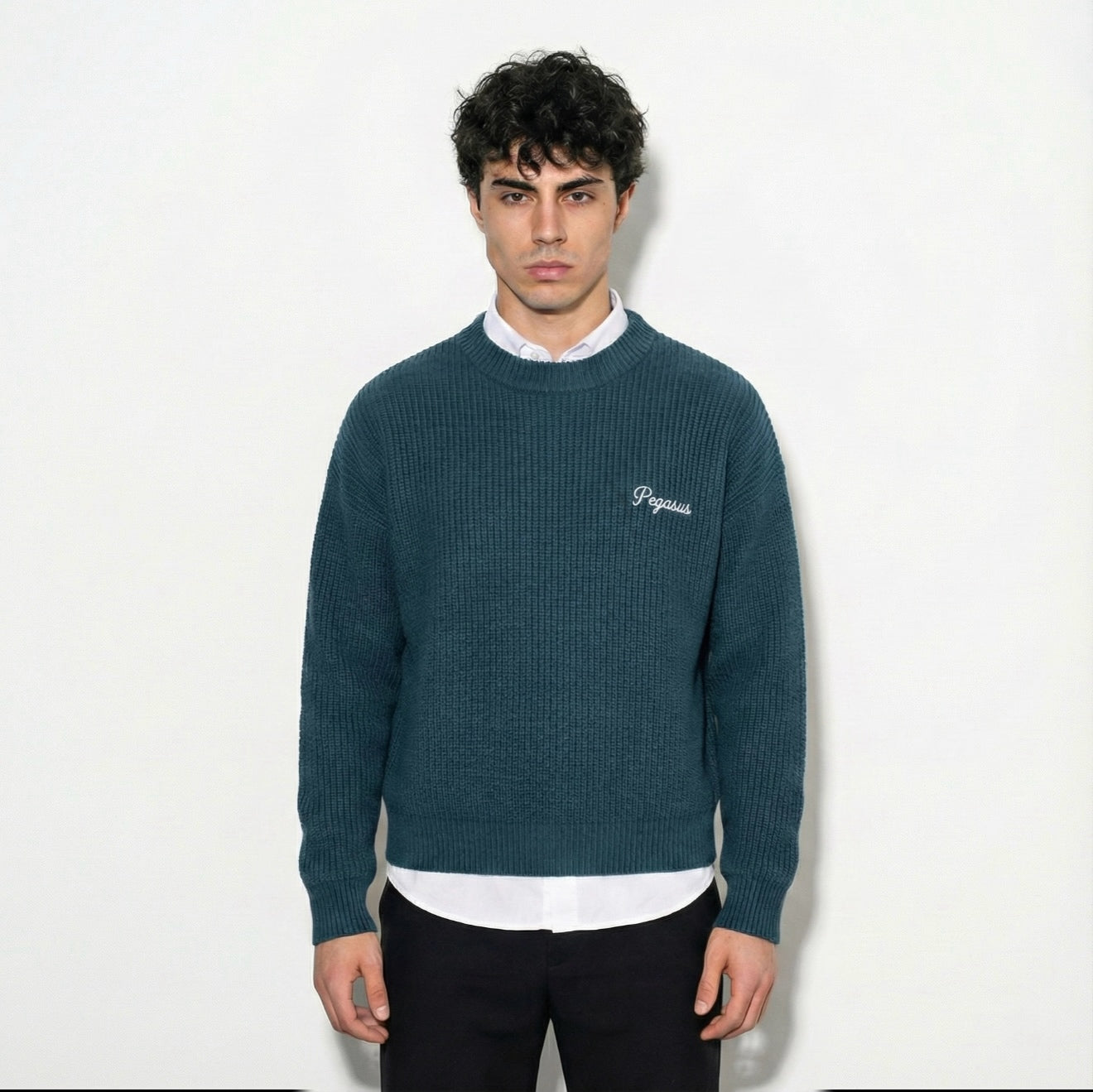 Pegasus Signature Knit Sweater