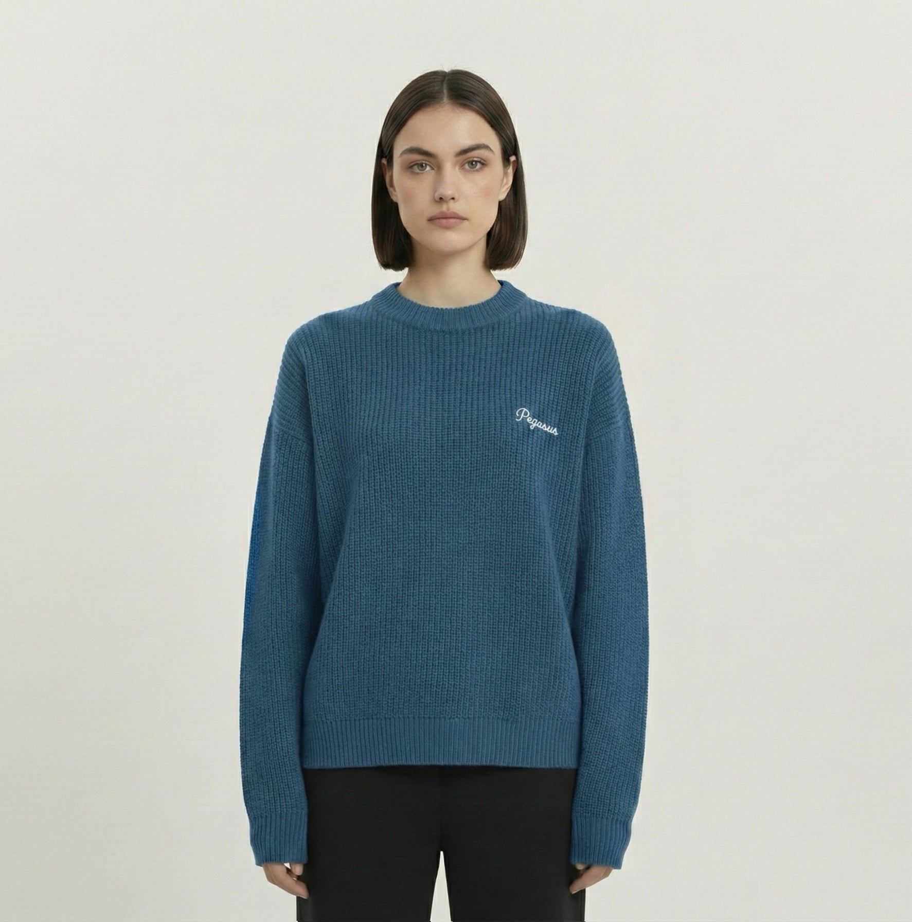 Pegasus Signature Knit Sweater