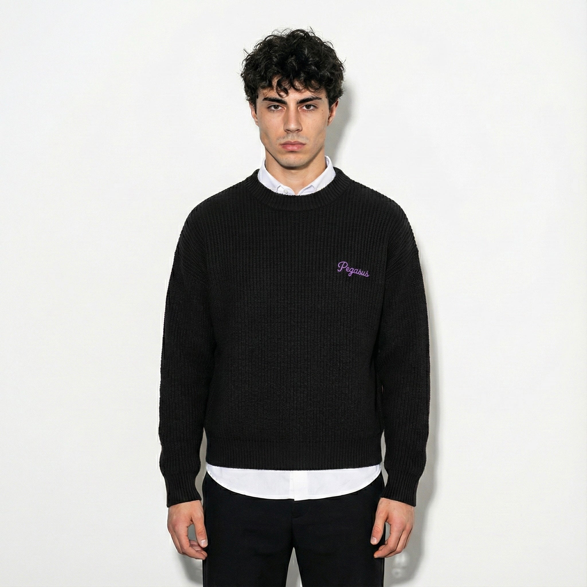 Pegasus Signature Knit Sweater