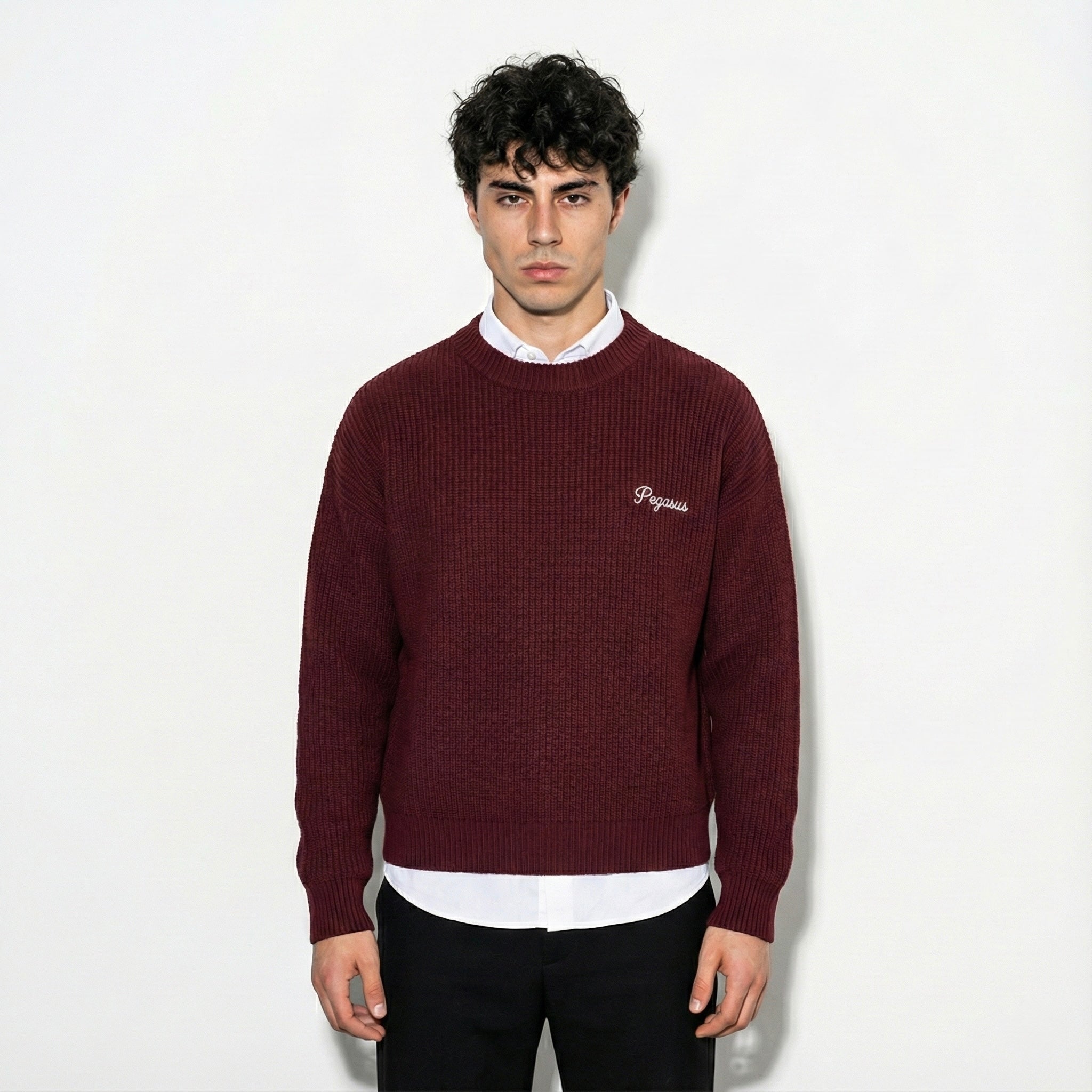 Pegasus Signature Knit Sweater